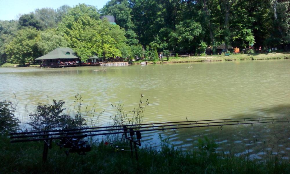 Monia Dream Apartment - Belgrade Lake & Fair Екстер'єр фото