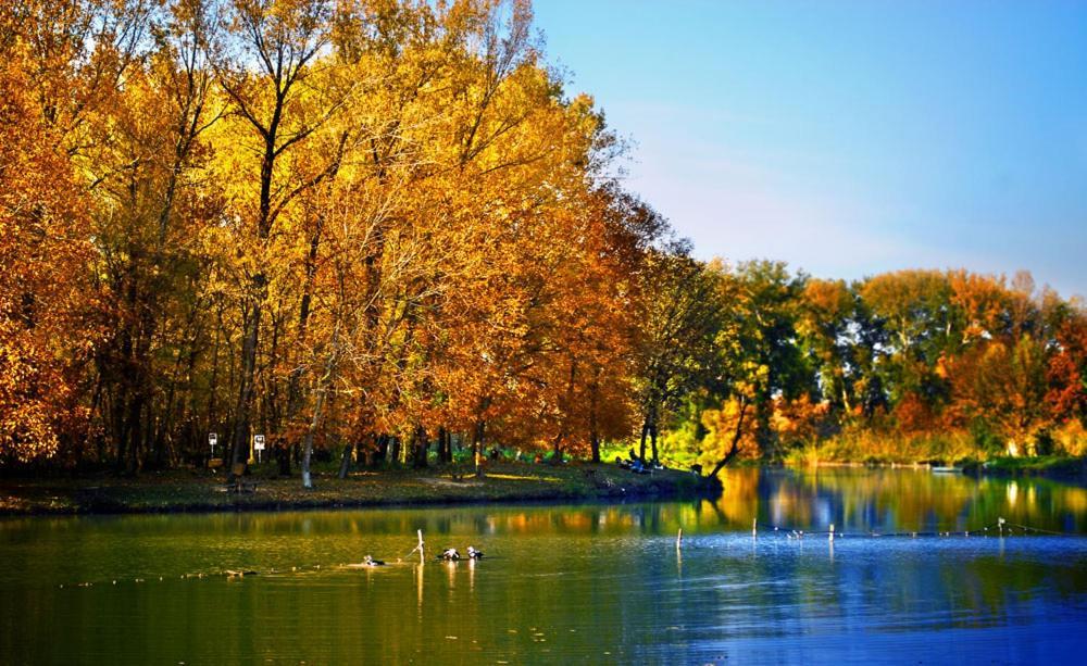 Monia Dream Apartment - Belgrade Lake & Fair Екстер'єр фото